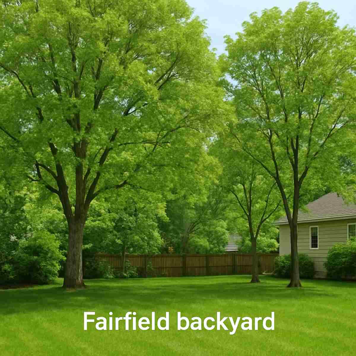 tree service Fairfield
